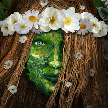 Load image into Gallery viewer, Wyldside Canvas