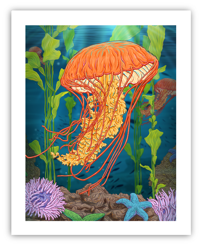 Jellyfish Giclée