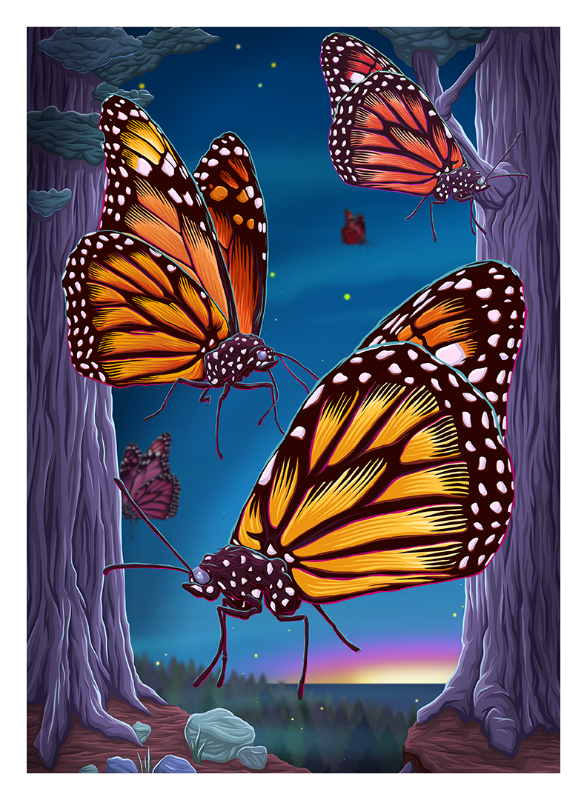 Butterflies Canvas